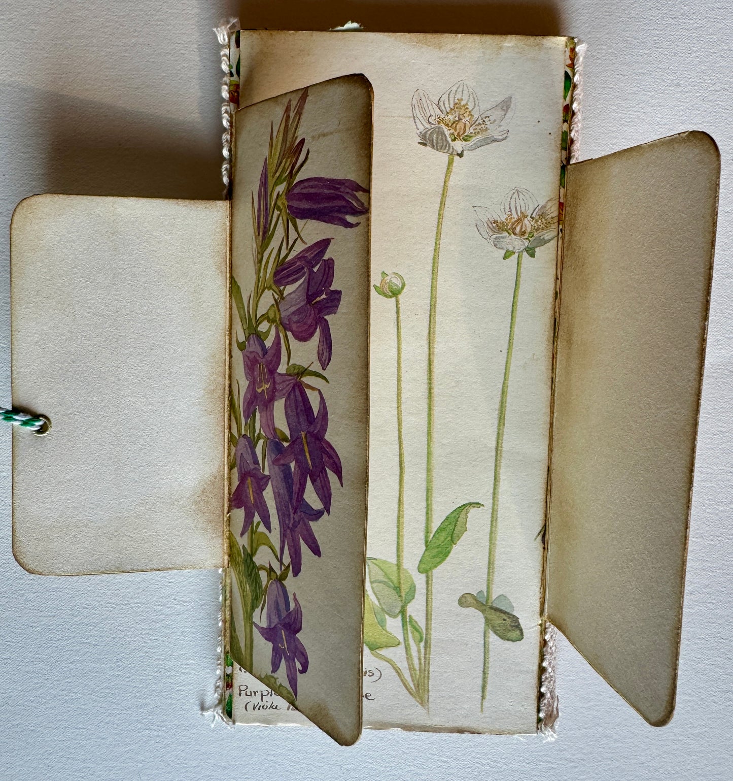 Flip Flop Folio Journal, made with Edith Holden book pages