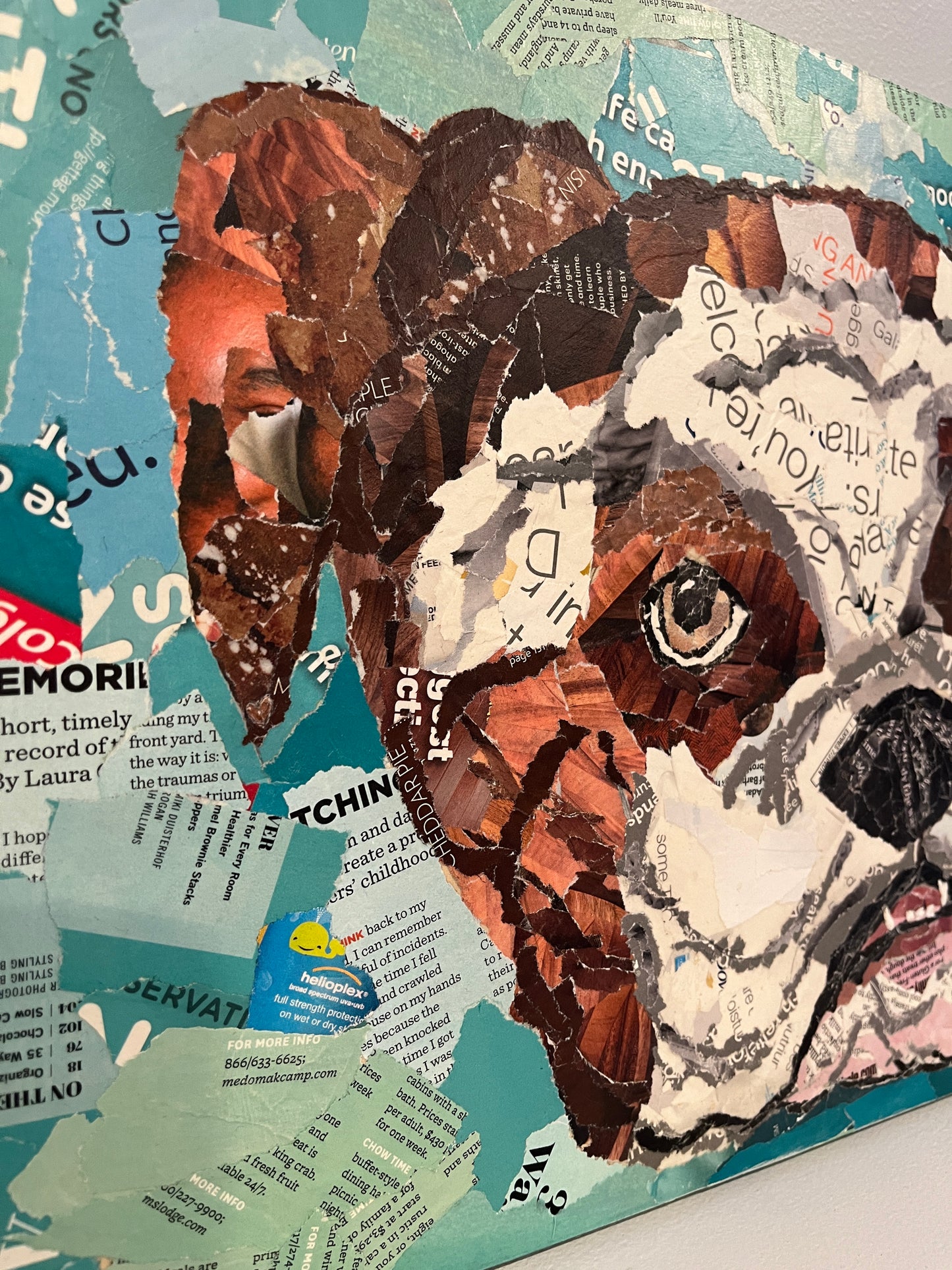 Wrinkles & Folds Bulldog Mascot Family Friend Torn Paper Collage Mixed Media