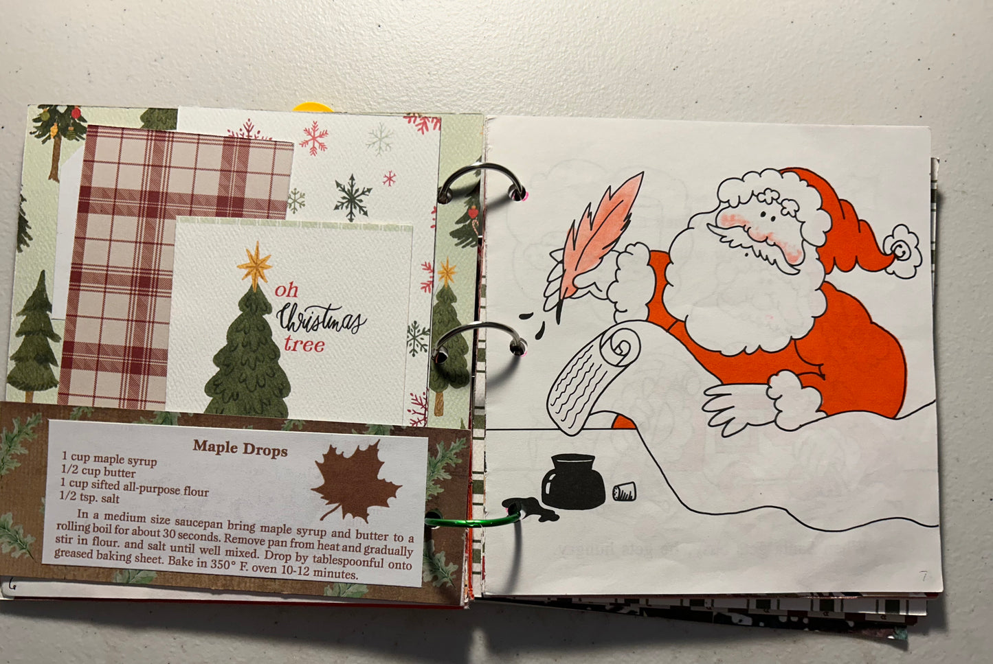 Santa’s Cookie Surprise Recipe Book and Journal