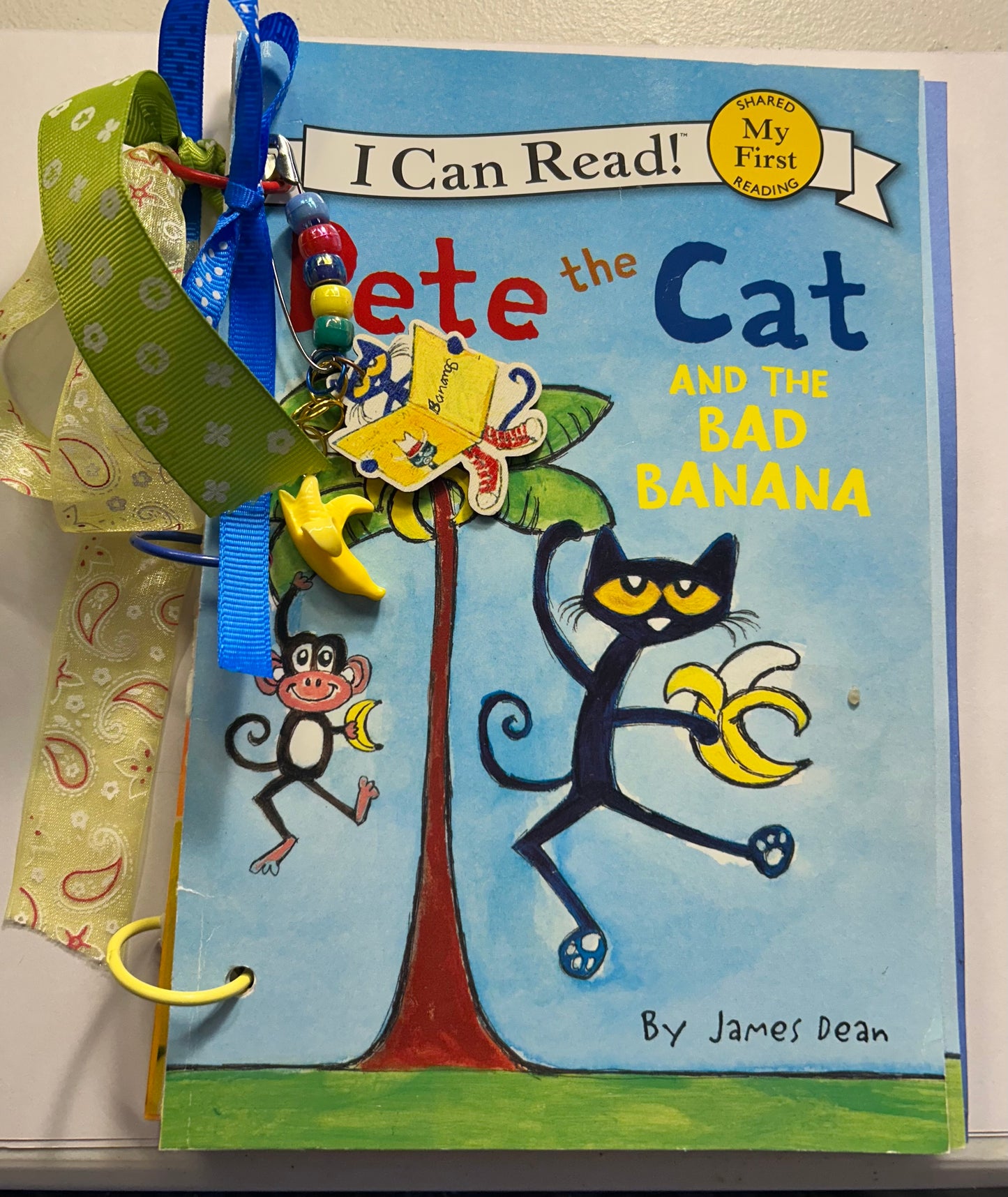 Pete the Cat and the Bad Banana Journal with Recipes