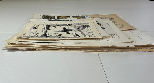 Ephemera packet 50 Illustrated Book Pages A1