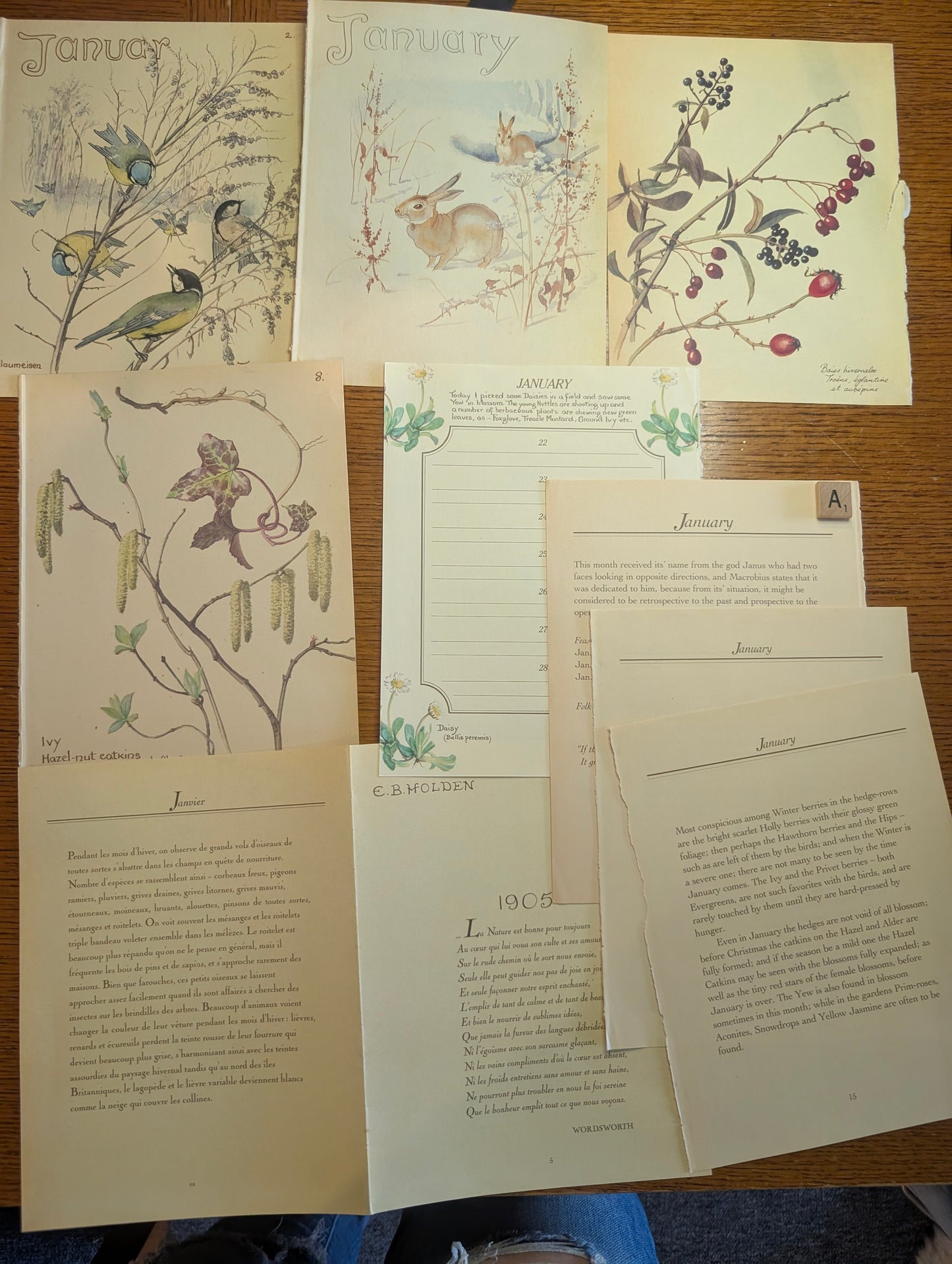 Diary of an Edwardian Lady Monthly Pages