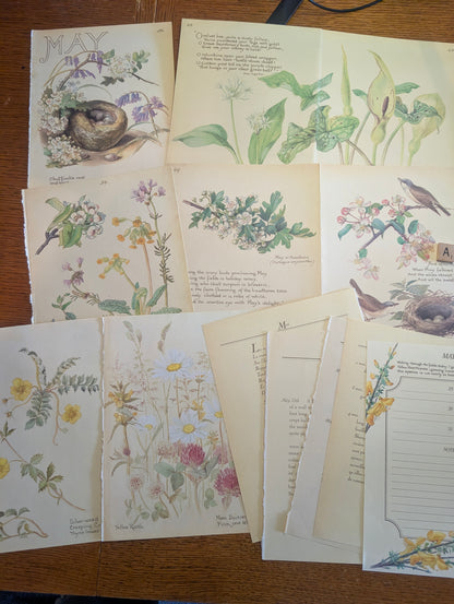 Diary of an Edwardian Lady Monthly Pages