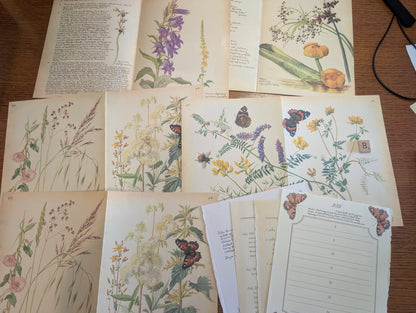 Diary of an Edwardian Lady Monthly Pages
