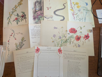 Diary of an Edwardian Lady Monthly Pages