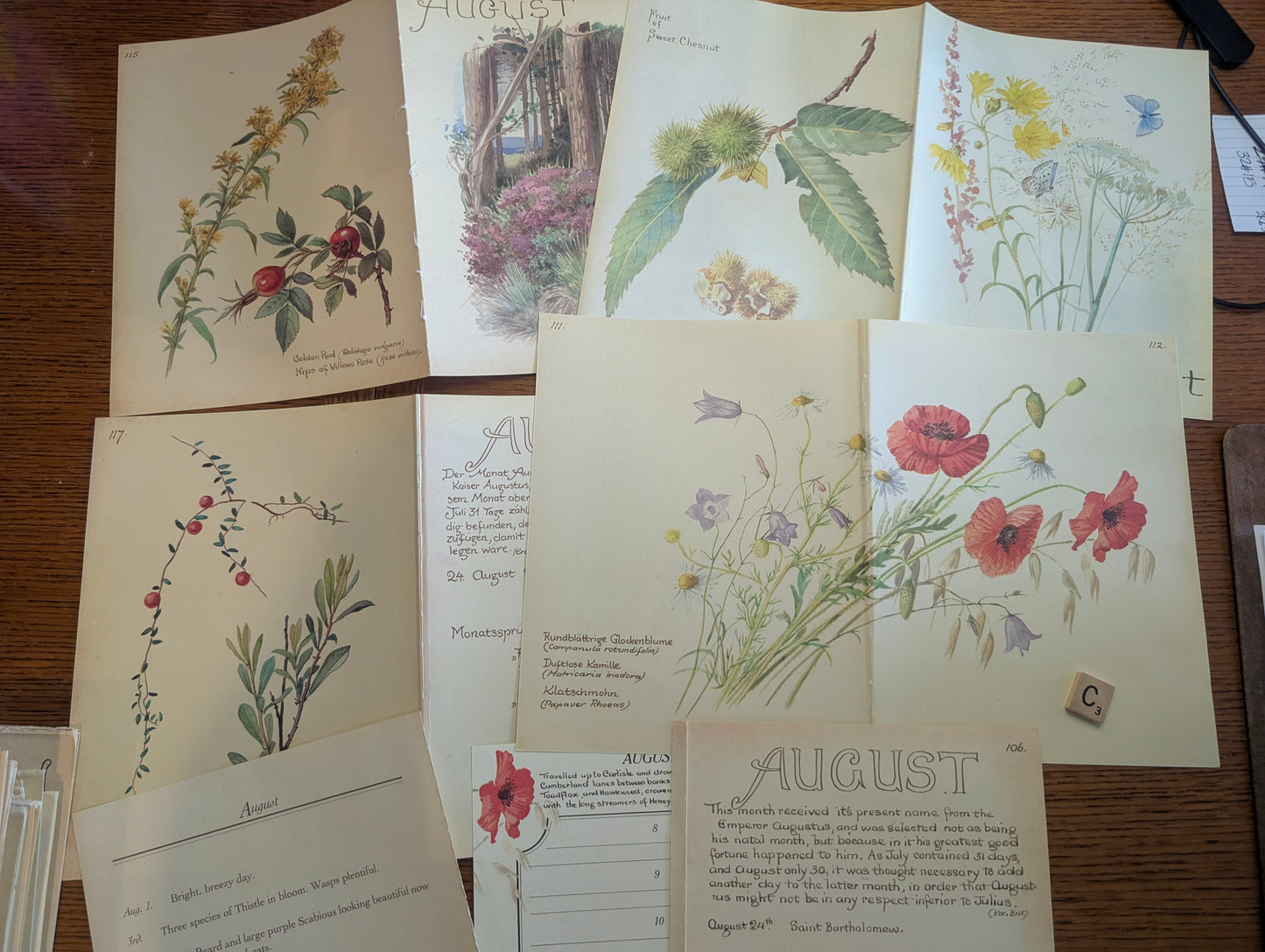 Diary of an Edwardian Lady Monthly Pages