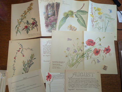Diary of an Edwardian Lady Monthly Pages