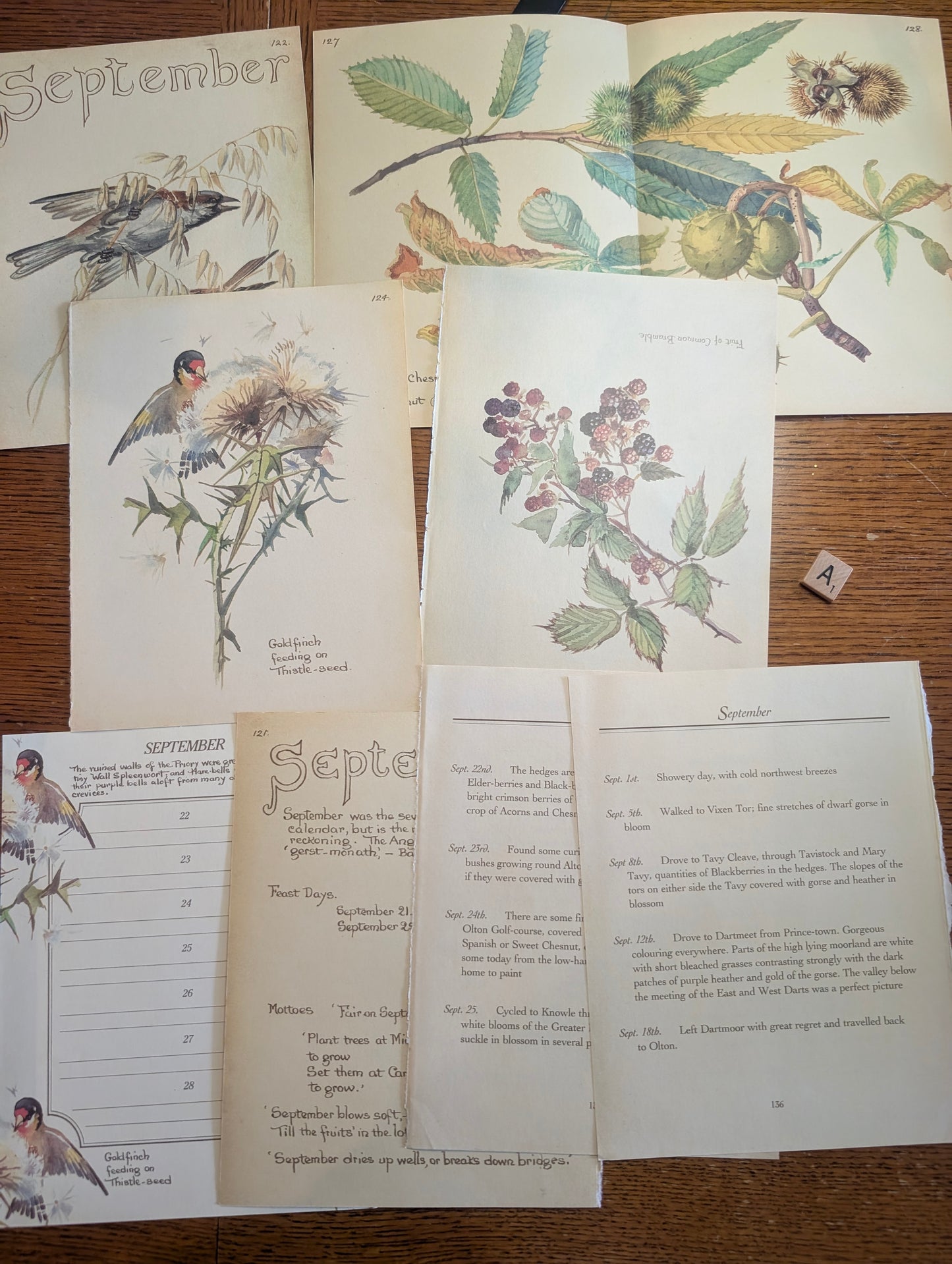 Diary of an Edwardian Lady Monthly Pages