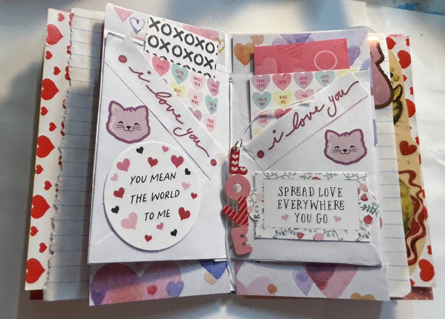 Kitten Valentine’s Day Journal