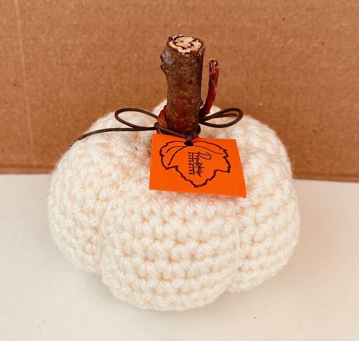 Hand Crocheted Fall Pumpkin